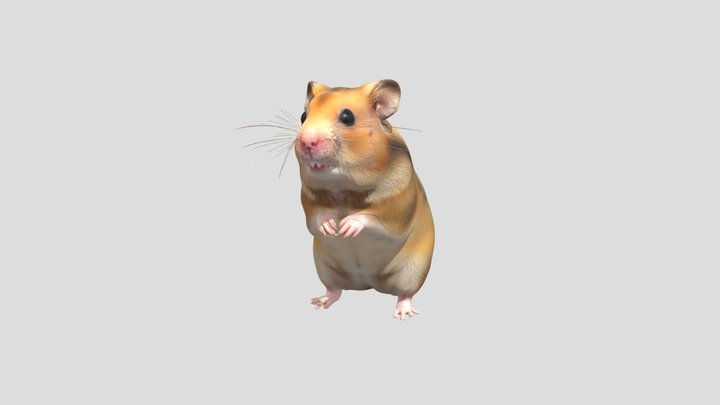 Curious Golden Hamster – Kostenloses 3D-Modell STL