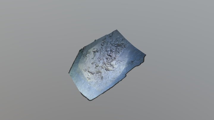 Small Bones Nai Tucha 3D Model