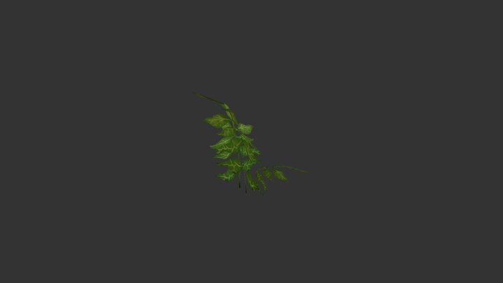 Vegetation 3D Model