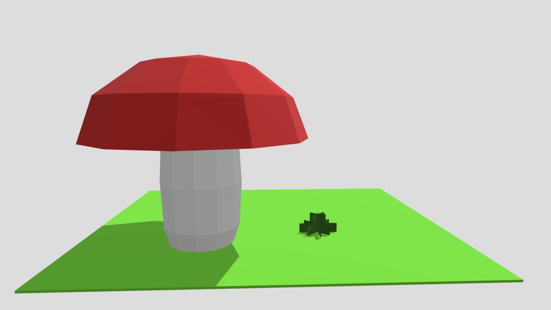 Mushroom - 3 December 2021 //Day 1