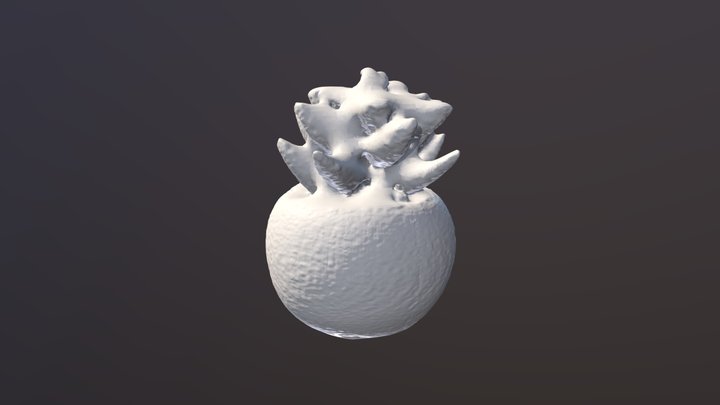 Smoll Plant Scan 3D Model