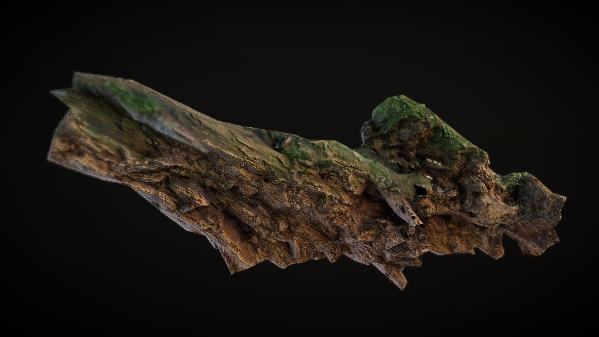 Rotten wooden branch