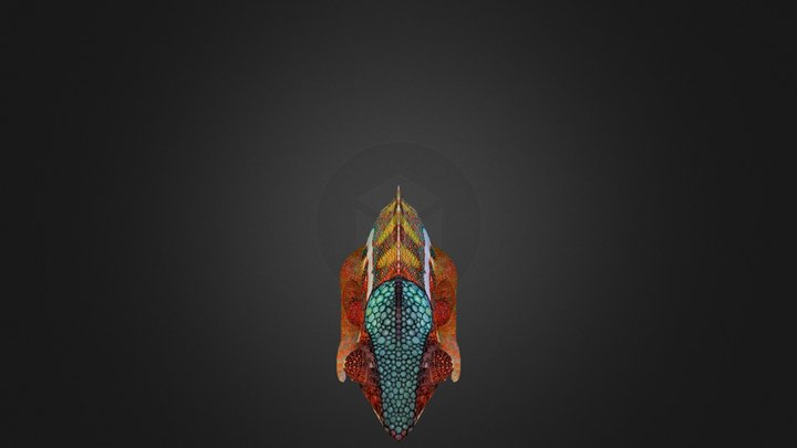 Chameleon 3D Model