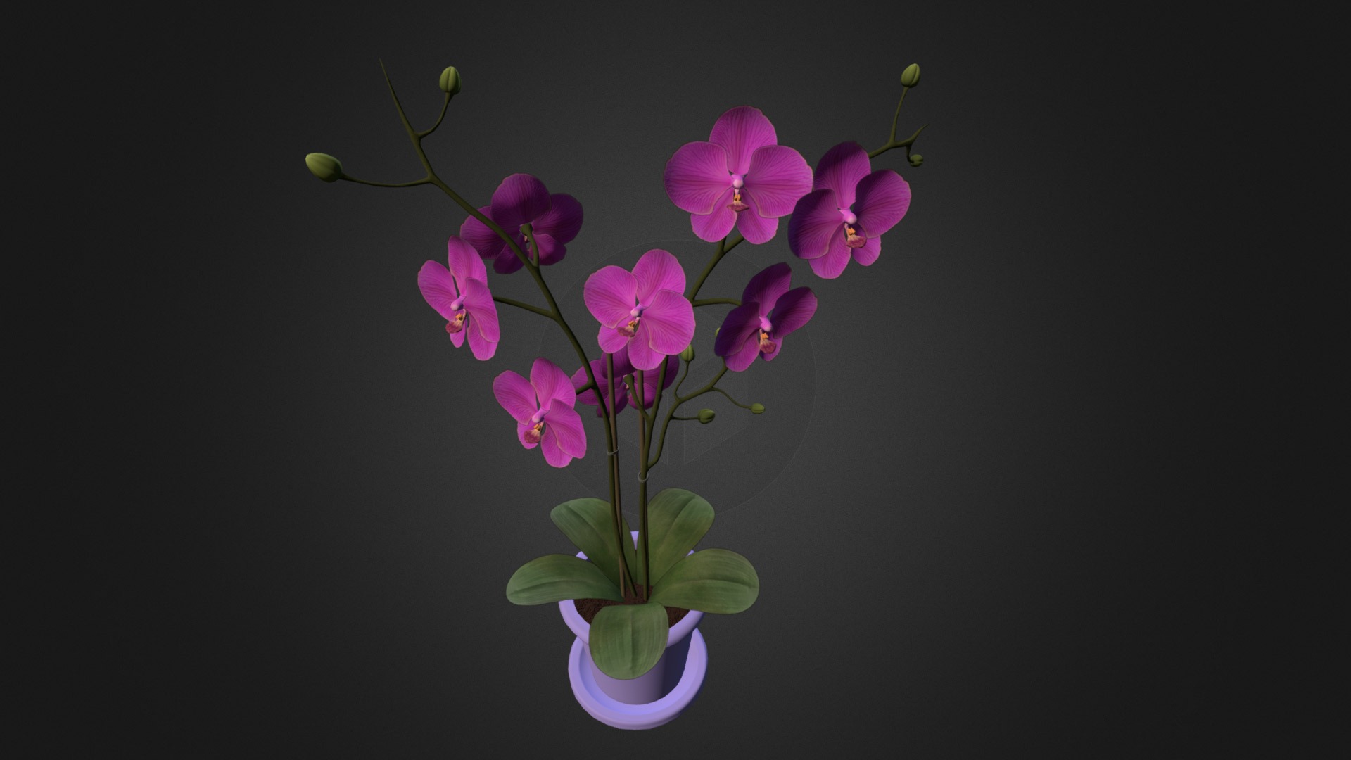 3D model Orchids on vase - This is a 3D model of the Orchids on vase. The 3D model is about a plant with purple flowers.