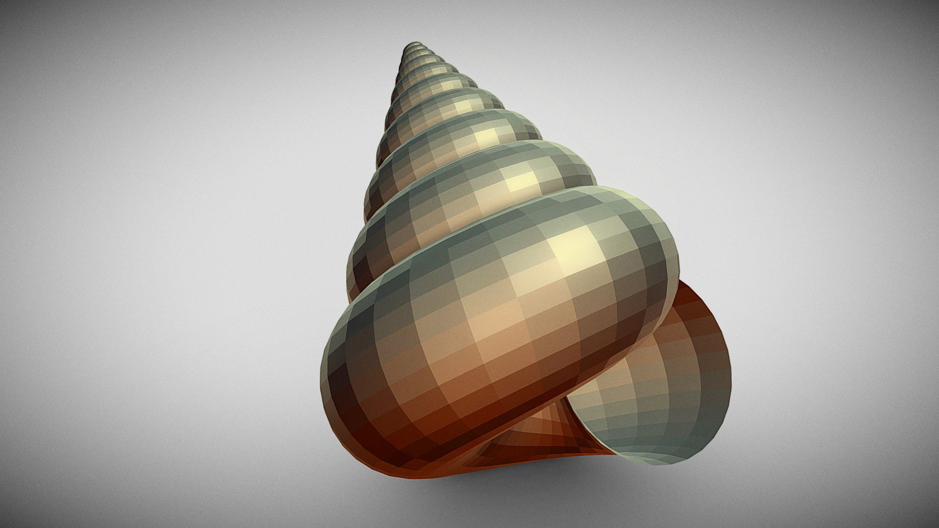 Spiral Shell - 3D model by JD Web Programmer (@jdwebprogrammer ...