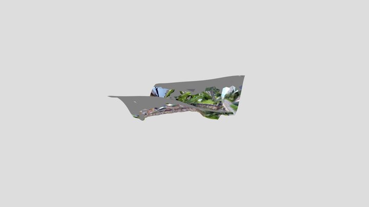 Trap 3D Model