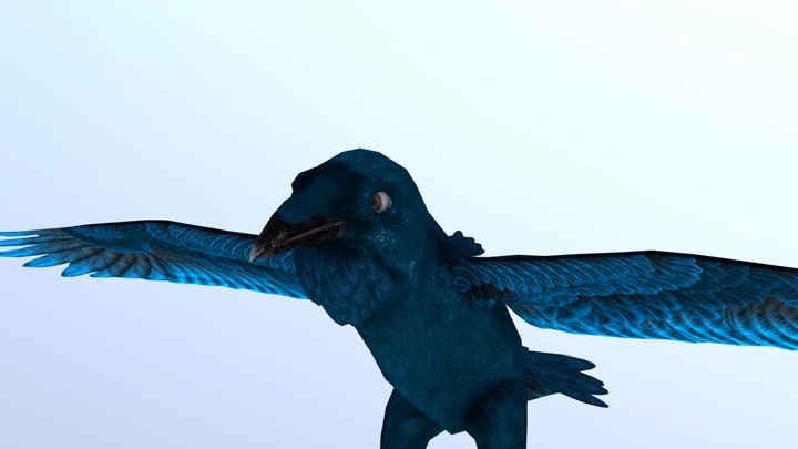 Raven Sketchfab 3D Model