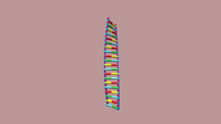 DNA 3D Model