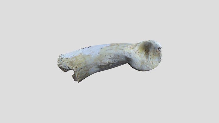 ABDSP_1366.0_v7637.1 3D Model
