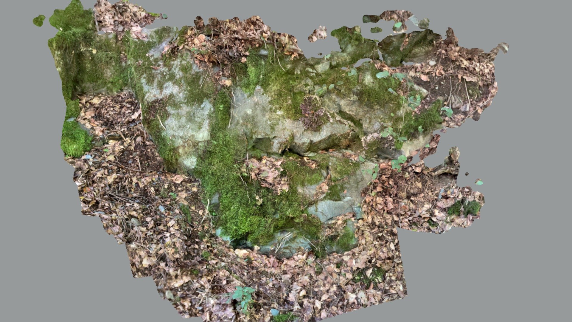 Métamorphisme de contact d’Andlau (arrêt 1)