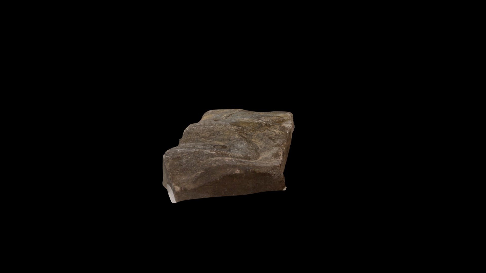 Invertebrate trace fossil (unknown age)