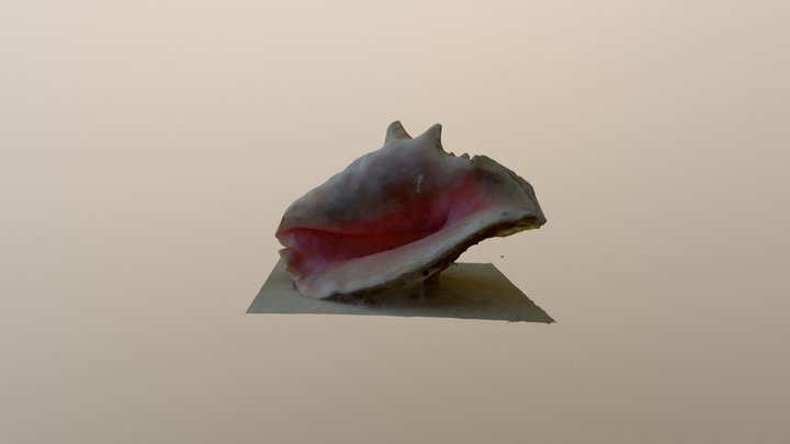 model 3D Model