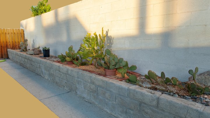 Cactus Planter 3D Model