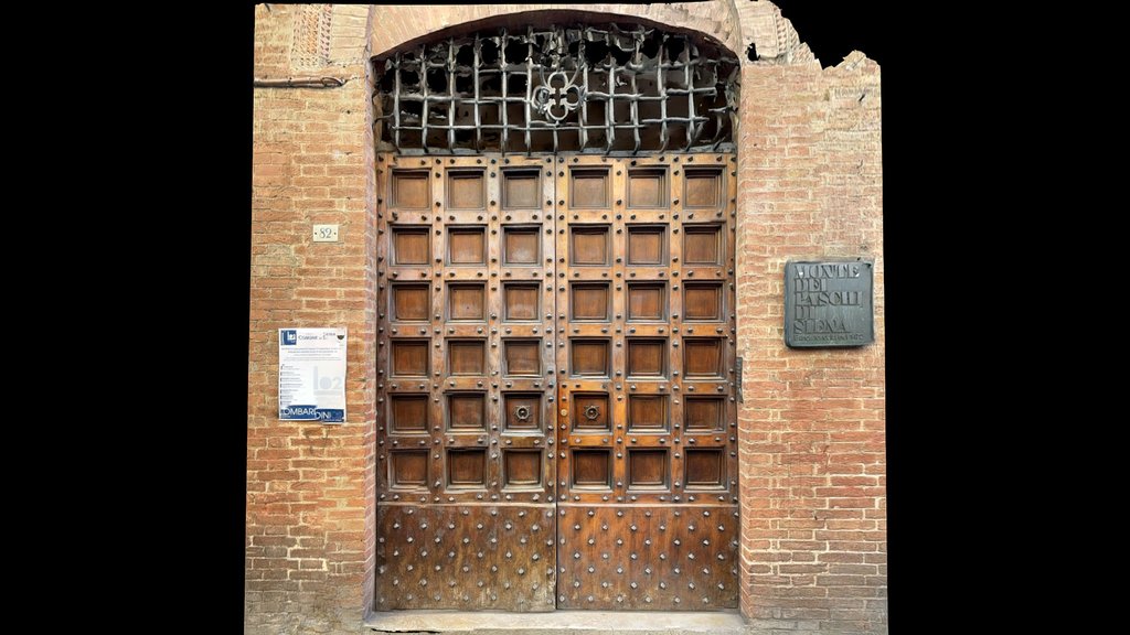 Siena - Palazzo Salimbeni Side Door (Scaniverse)
