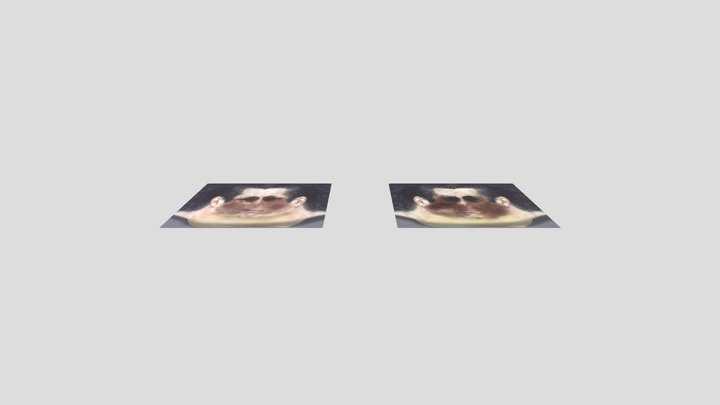 facemapTexture pack3 – Kostenloses 3D-Modell STL