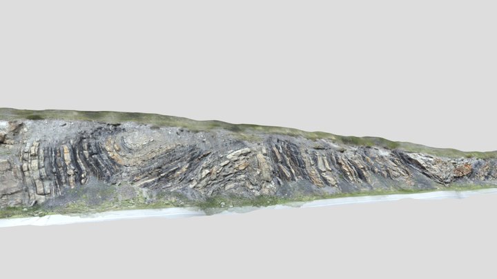 Gladstone Formation - Abraham Lake Overlook 3D Model