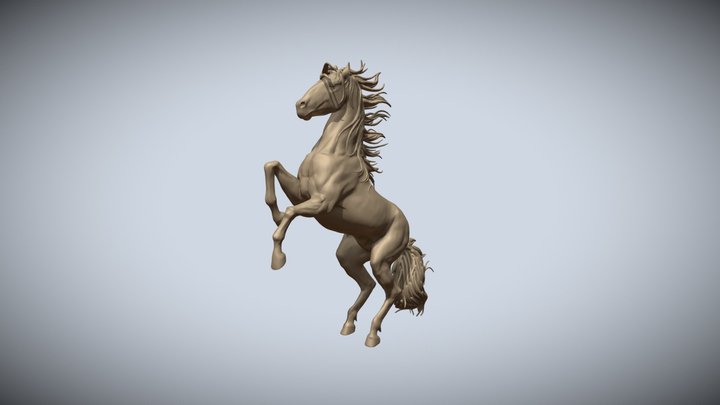 Horse 3D Model