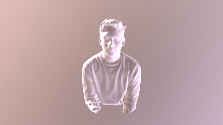 Model Scan 3D Model