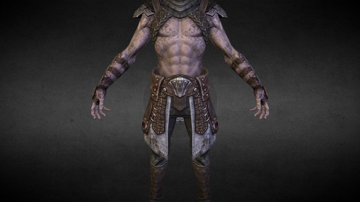 Assasin 3D Model
