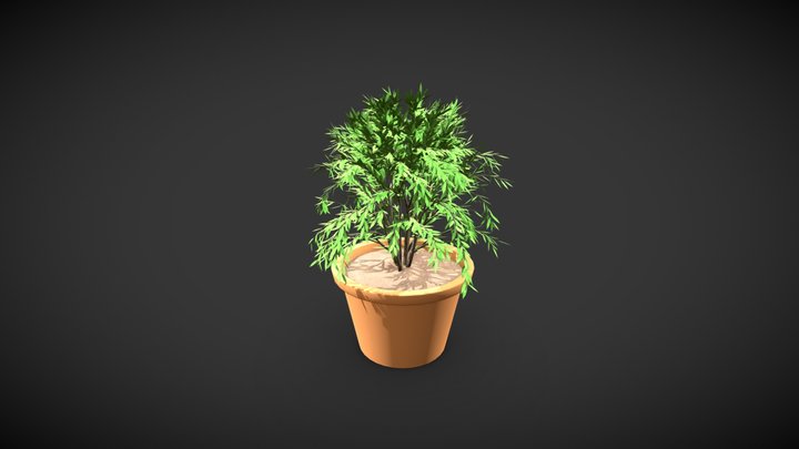 free plant and pot 3D Model