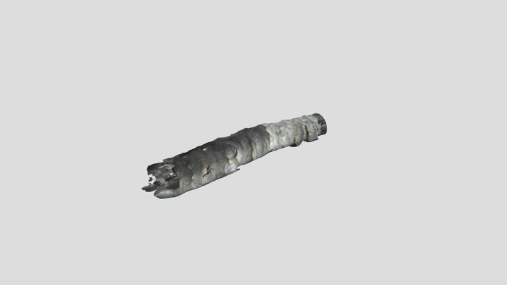 Avance de túnel durante la excavacion 3D Model