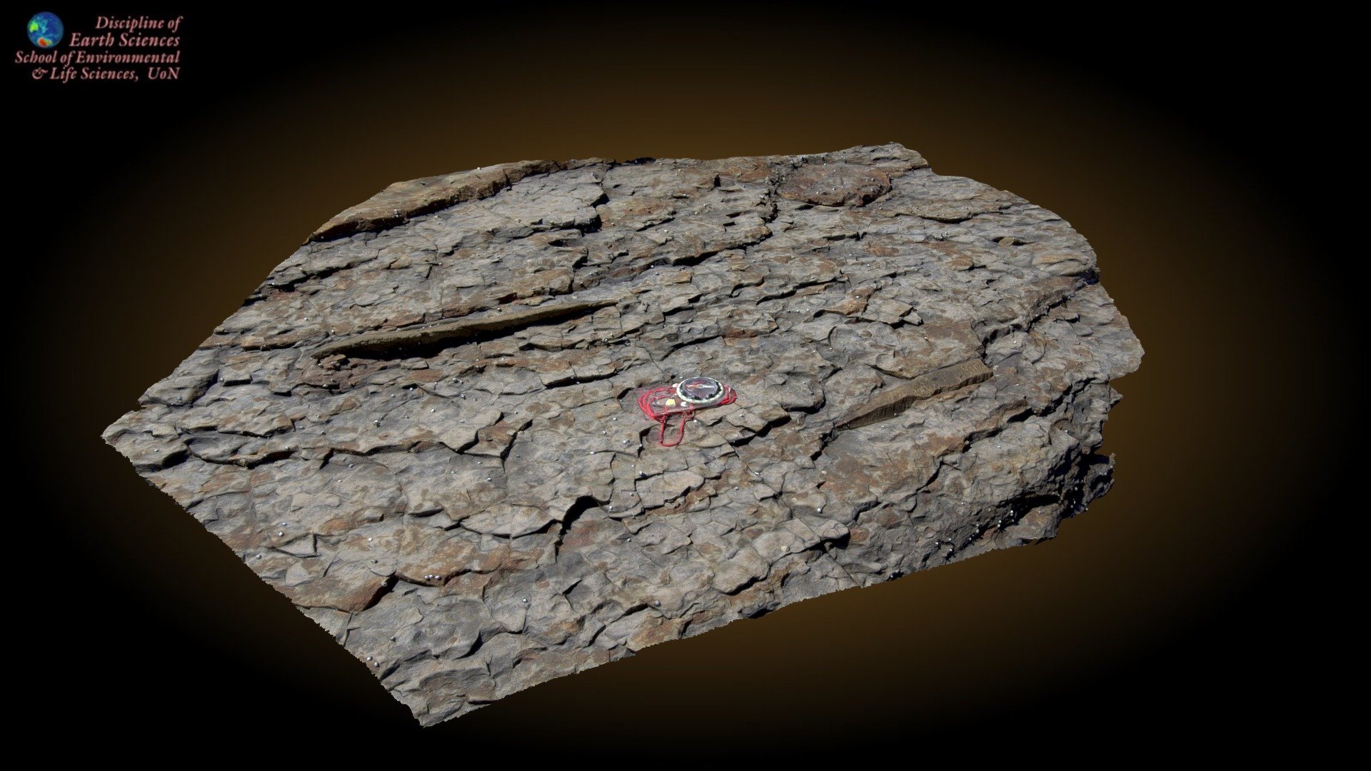 Glendonites at Pebbly Beach - 3D model by Earth Sciences, University of ...