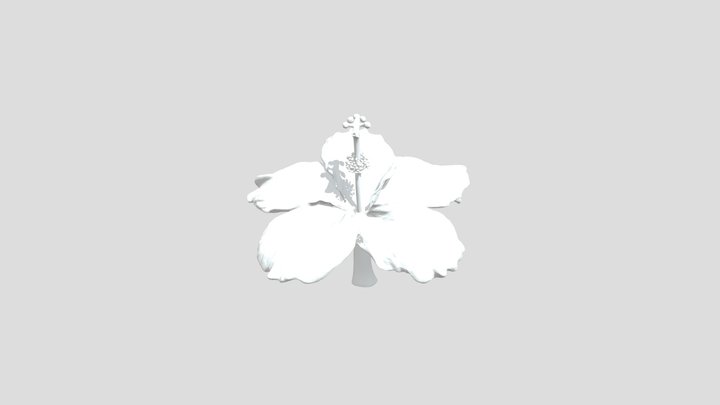 Golden Bloom 3D Model