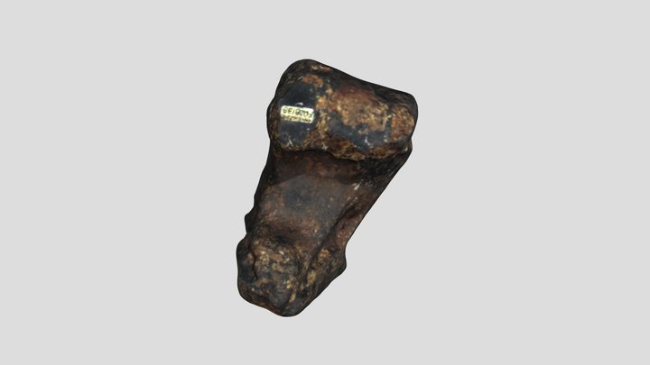 FOSSIL 06 F028139 134K 3D Model