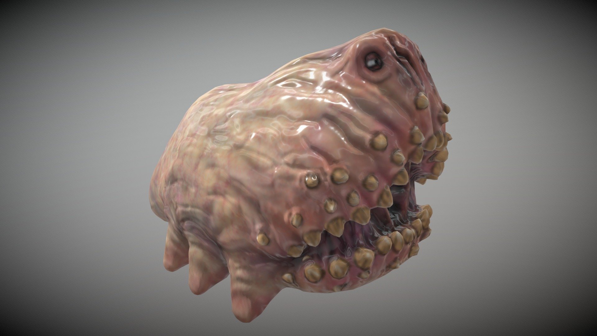 Slug low poly