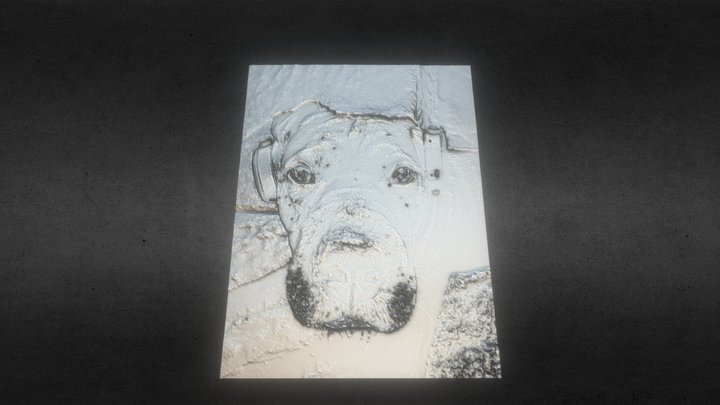 Karma Dogmeat Lighted Lithophane