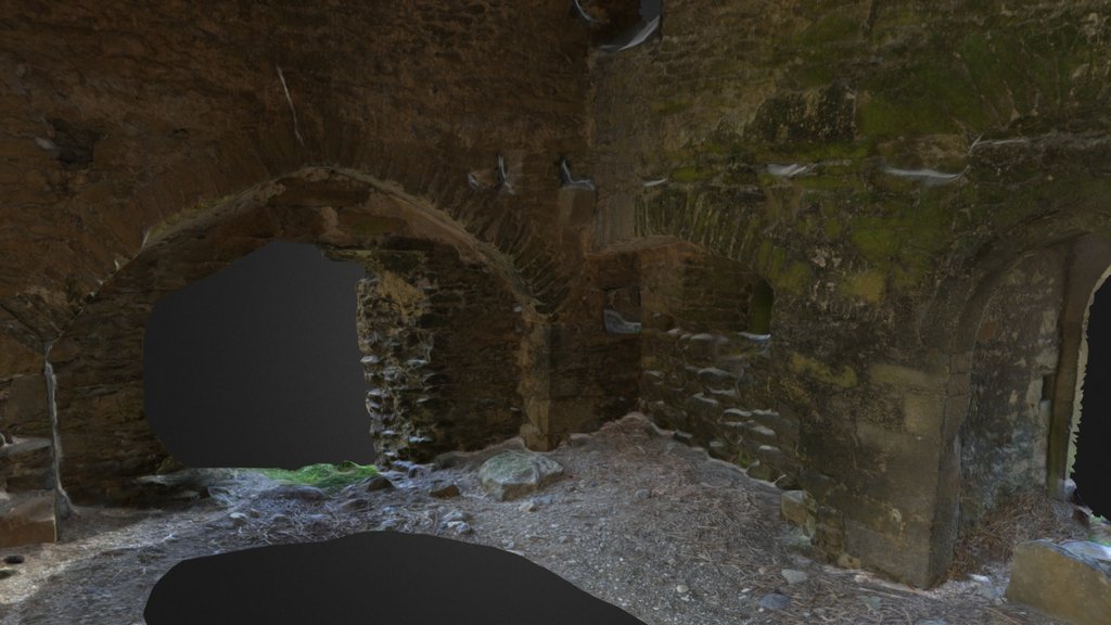 Newtown Shea: Castle ground and first floor
