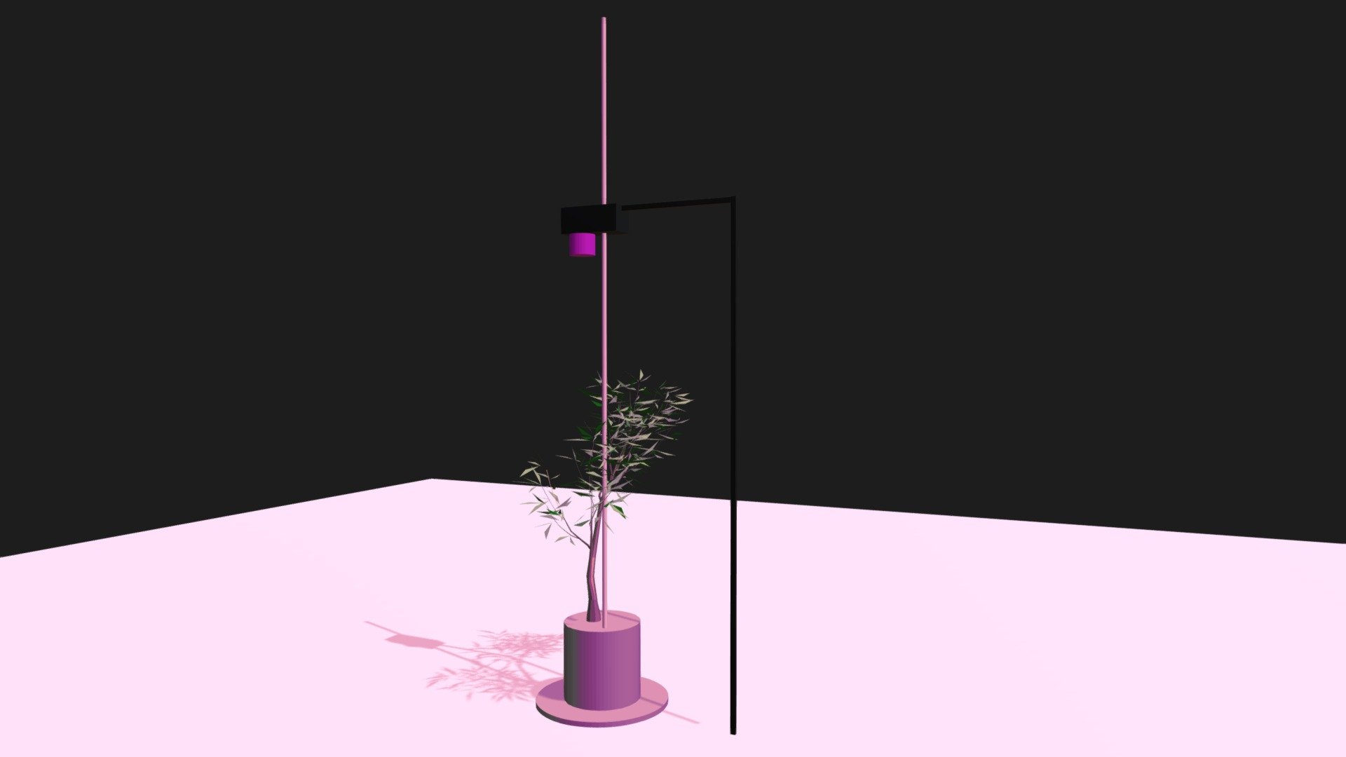 Sunlamp