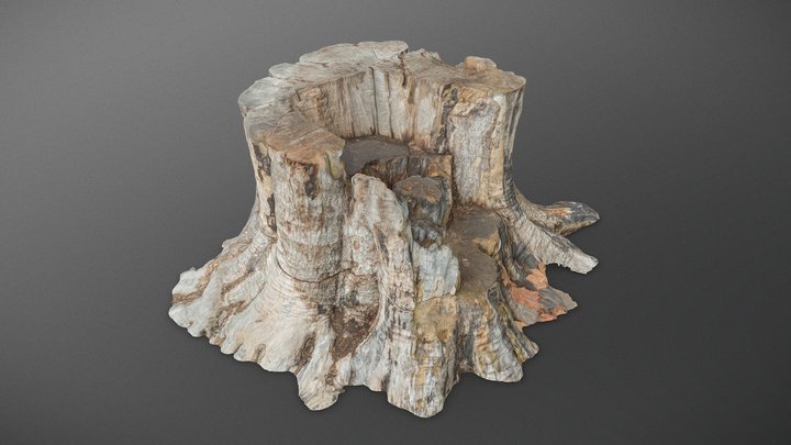 Grand oak stump 3D Model