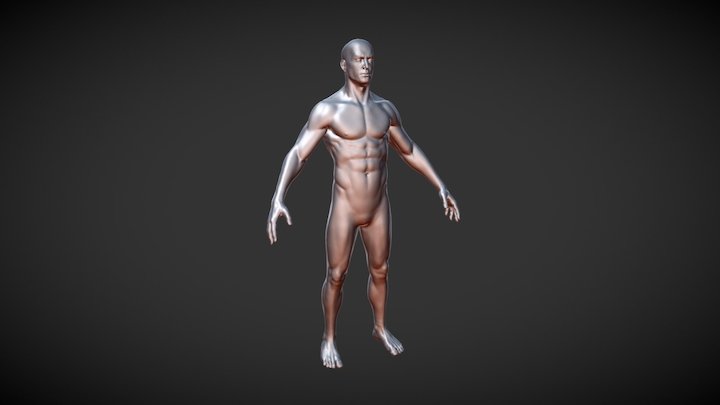 Base Male Sculpt (Free Download) 3D Model