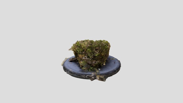 Wren's nest – Modèle 3D gratuit STL
