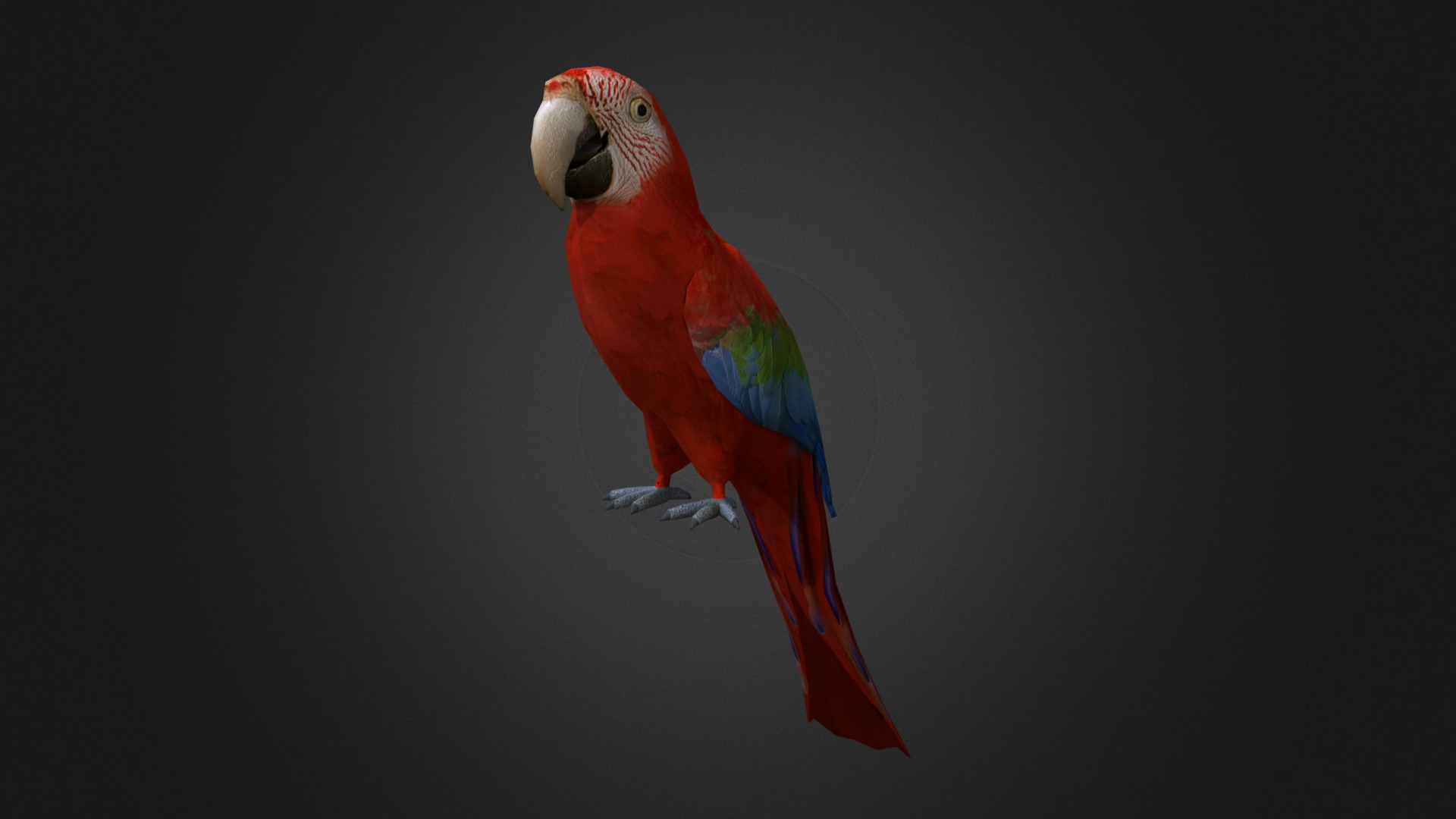 3D model Red-and-green macaw - This is a 3D model of the Red-and-green macaw. The 3D model is about a colorful bird on a branch.