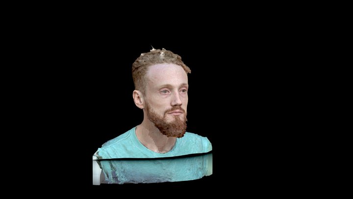 Head Scan 3D Model