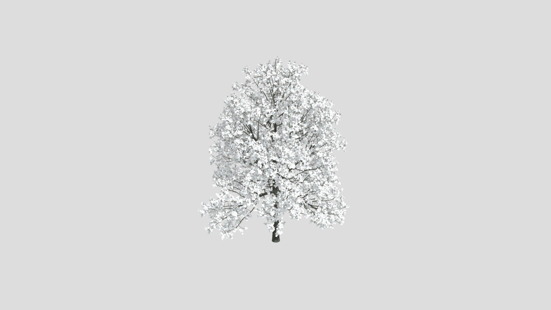 Tilia 105 AM258 Archmodel - Buy Royalty Free 3D model by Evermotion ...