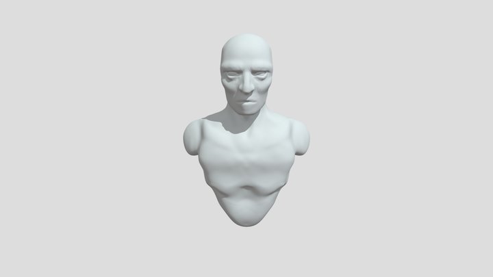 BUSTO 3D Model