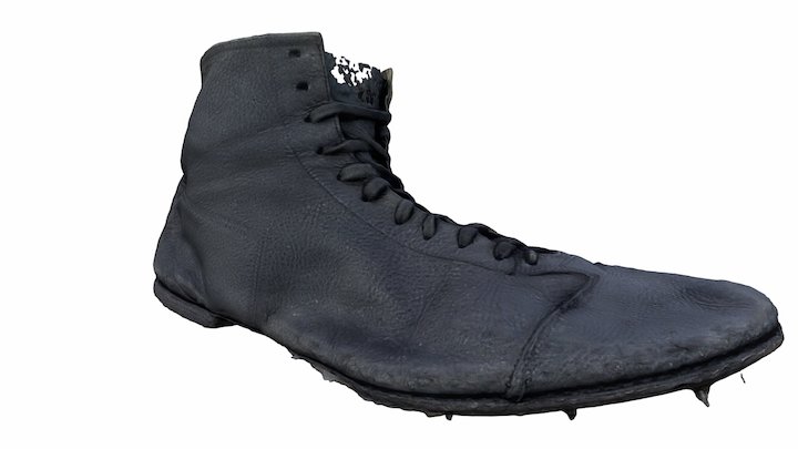 Shoes worn in 1956 Olympics 3D Model