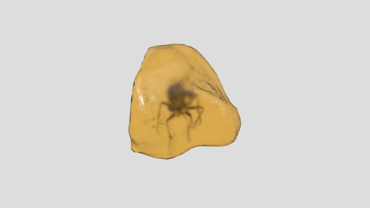 Real-time_refraction_demo_mosquito_in_amber