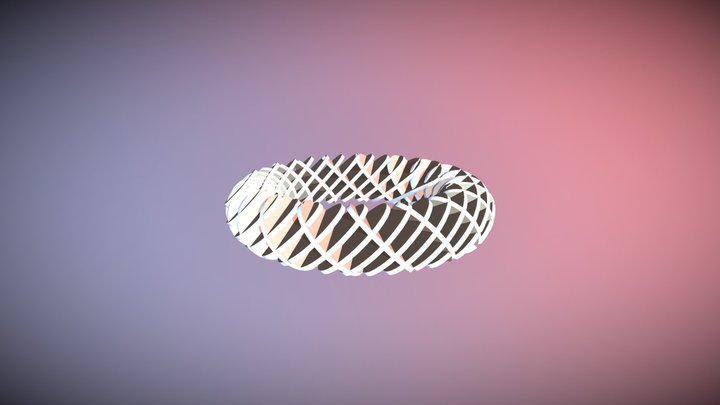 Torus Cut 3D Model