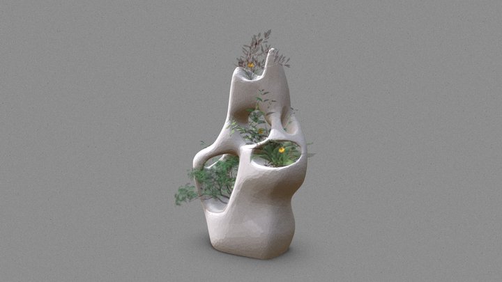 Cavo 3D Model