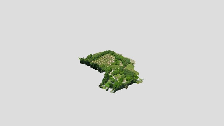 Mt. Airy, MD property conditions 3D Model