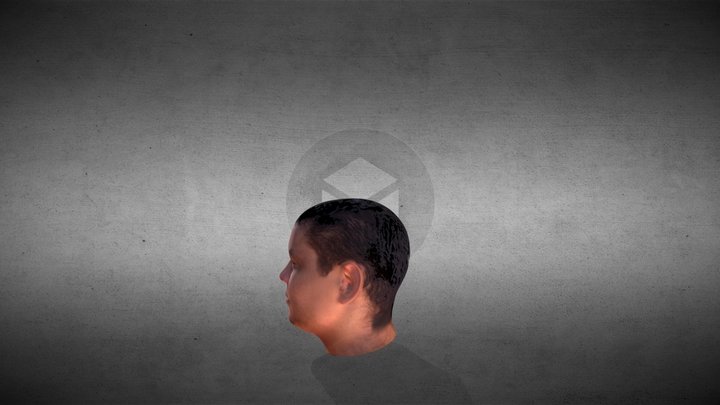 MODELO HOMBRE N C 3D Model