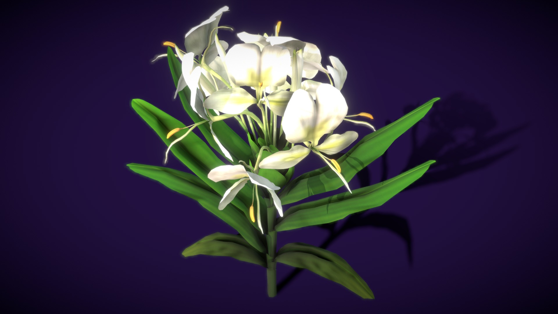 3D model Hedychium Coronarium Koenig Flower - This is a 3D model of the Hedychium Coronarium Koenig Flower. The 3D model is about a close-up of a flower.