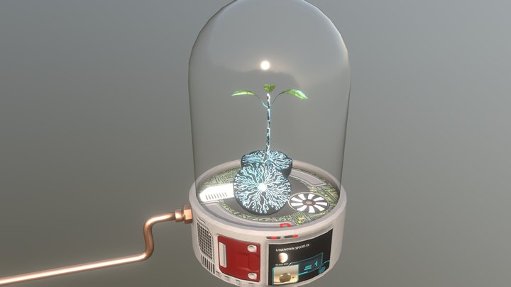 Plante 3D Model