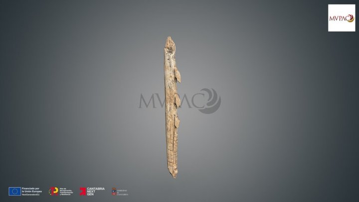 Arpón con una hilera de dientes 3D Model