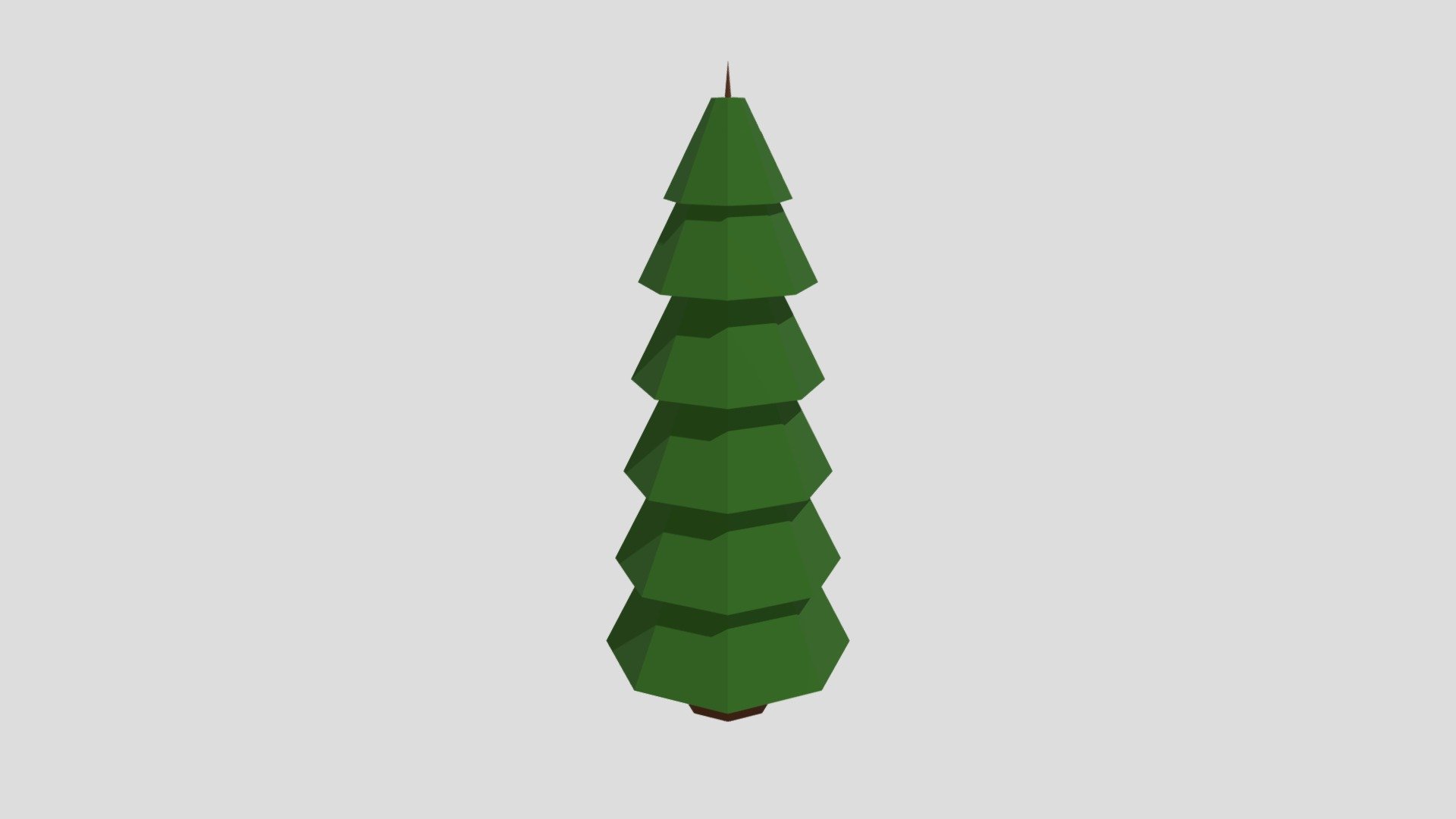 Spruce