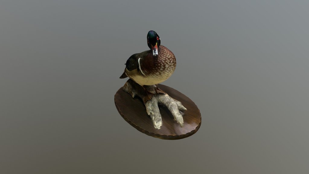 duck fishing hook by Laurent Mounet, Download free STL model